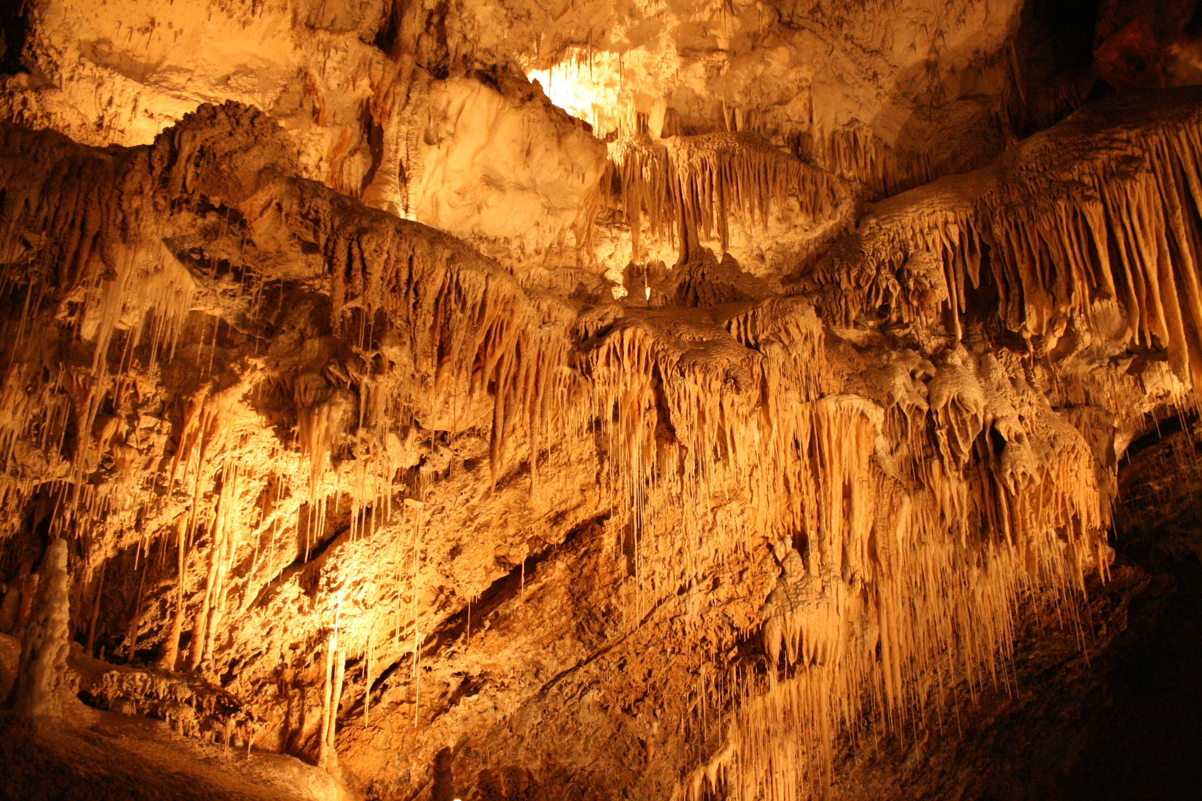 Marakoopa Cave, Tasmania, Australia
