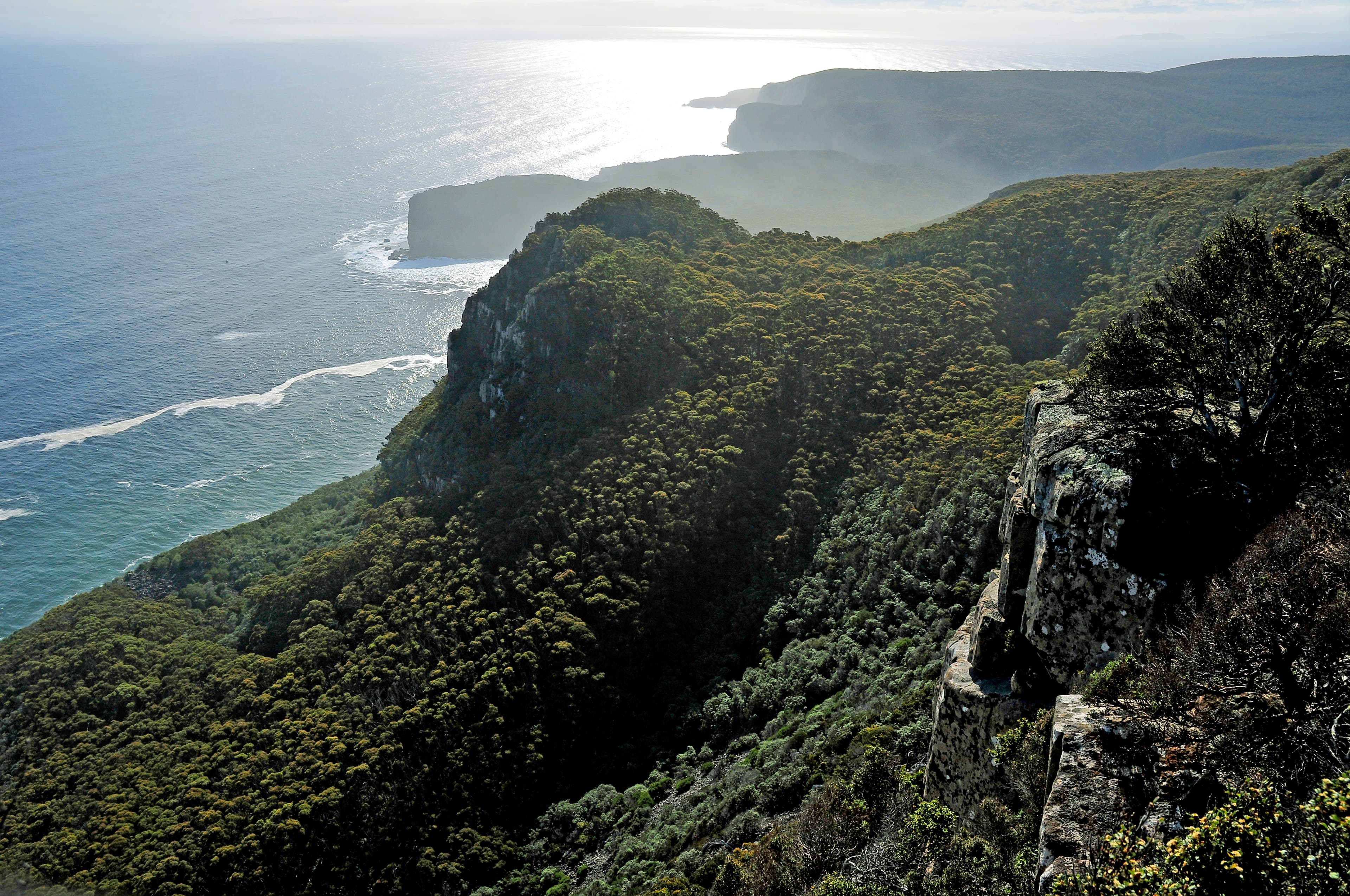 A view from the Cape Raoul Lookout: Tunnel Bay and Shipstern Bluff. Tasman National Park, Tasman Peninsula, Tasmania, Australia