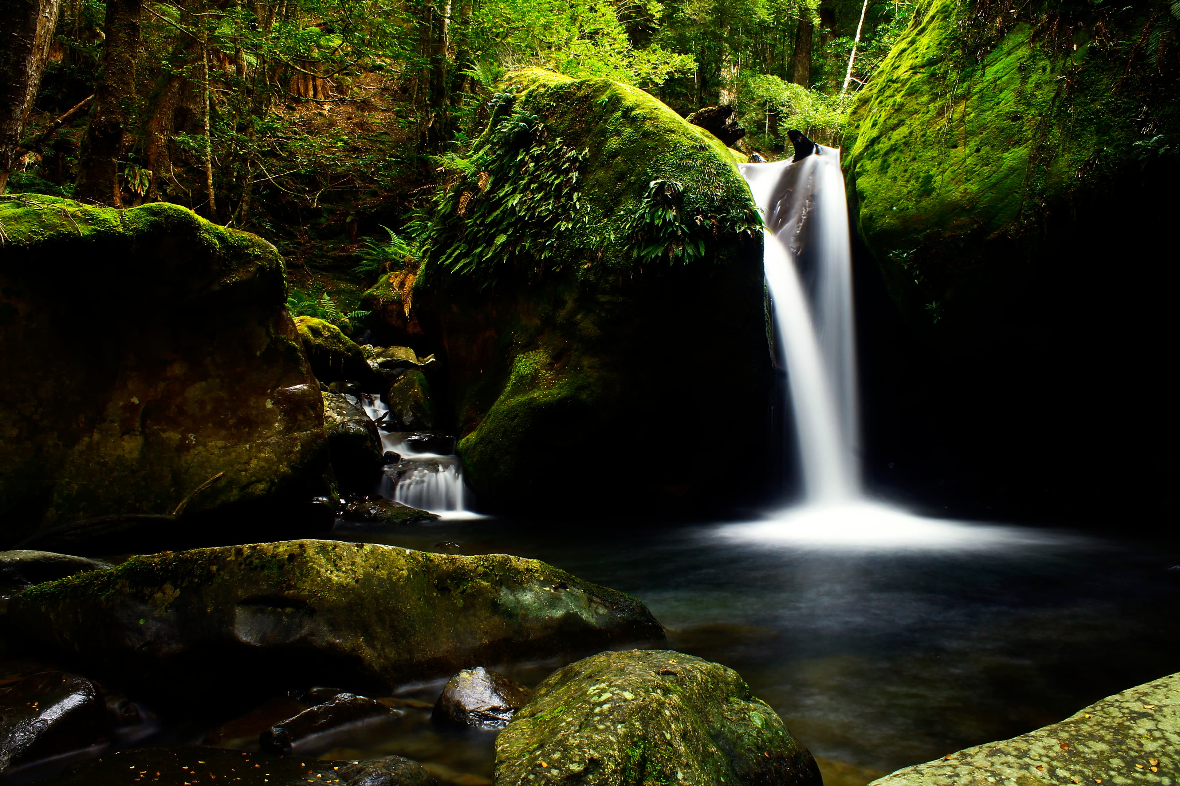 This is the first of a series of waterfalls on Smoko Creek in the Great Western Tiers part of the Tasmanian Wilderness World Heritage Area. It is unmarked on maps and sits further down stream than the three other marked waterfalls on Smoko Creek.