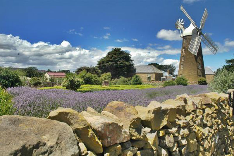 Oatlands